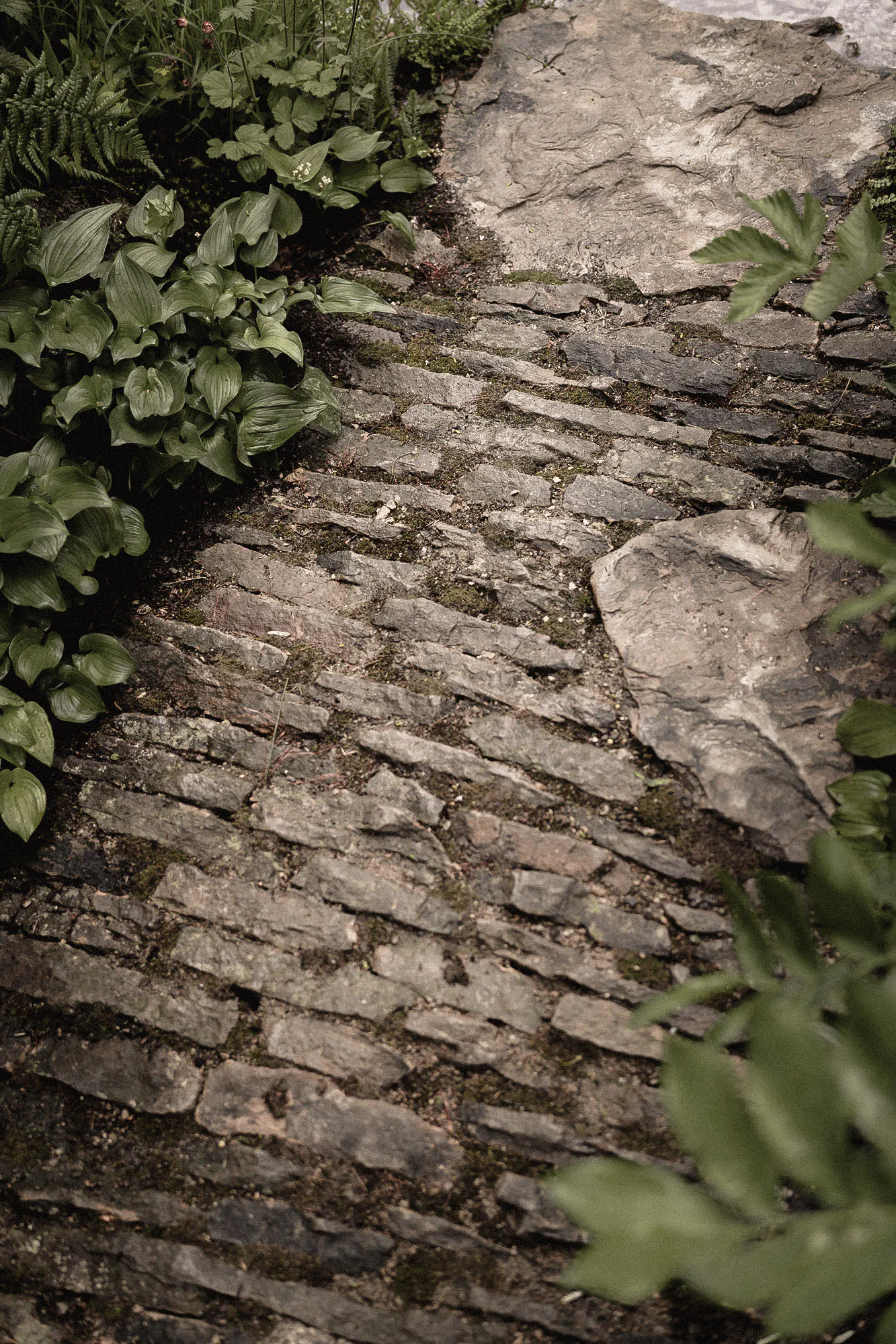 Path of gritstone laid on edge, bordered by ferns and woodland ground cover